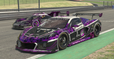 Corvette y Porsche GTP